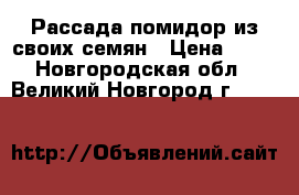 Рассада помидор из своих семян › Цена ­ 10 - Новгородская обл., Великий Новгород г.  »    